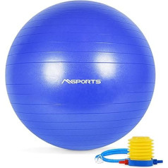 MSPORTS Premium Anti Burst Exercise Ball ar sūkni un treniņu programmu 55 cm - 105 cm Fitnesa bumba ar vingrojumu plakātu Medicine Ball