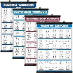 Palace Learning 4-pack - vingrinājumi ar svaru + vingrinājumi ar ķermeņa svaru + vingrinājumi ar pretestības lentēm + iesildīšanās vingrinājumi - 4 treniņu diagrammu komplekts (laminēts ar plastmasas rāmi, 45,7 x 61 cm).