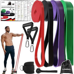 LOODIA High Tension Resistance Bands Set (15-125 lbs), Resistance Bands with Handle, Elastic Band Fitness Equipment Home, Strength Training Accessories, Pull-Up Band, Fitness Bands