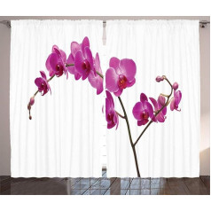 ABAKUHAUS Orchids Rustic aizkars, savvaļas orhideju ziedlapiņas, aizkars guļamistabā ar rūtīšiem un āķīšiem, 280 x 175 cm, violets