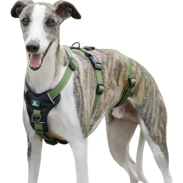 Paworld Drošības siksnas suņiem, panikas siksnas suņiem, pretbēgšanas siksnas suņiem, pret vilkšanu suņiem, elpojošas, regulējamas vestes vidējiem suņiem, pastaigām un apmācībai (zaļas, M)