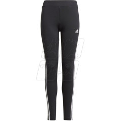 Legingi D2M 3 Stripes Tight Jr GN1453 / 170 cm