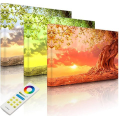 Gaismas kaste Daudzkrāsains LED gaismas Picture Rooted Strong Tree in Sunset 100 x 70 cm Pilnībā izgaismots