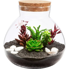 BESPORTBLE Terrarien-Glasbehälter - ideal für Sukkulenten - Farnmoos und Luftpflanzen-Display, Mikro-Landschaftsgestaltung, Glasflasche mit Korkdeckel, vielseitige Aufbewahrung & Süßigkeitenschale