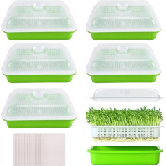 Voarge Pack of 6 dīgšanas paplātes dīgstiem, 32 cm x 26 cm dīgšanas paplātes dīgstiem ar vāku, mikrozaļumu pavairošanas paplātes sēklu dīgšanai, dārza un mājas birojs (ar dziļu vāku)