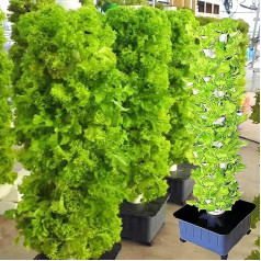 PTSZNGS Hydroponic Tower Kit 15 Tier 45 caurumi vertikālā hidroponiskā kultivēšana vertikālā hidroponiskā audzēšana ar taimera adapteri hidroponiskā audzēšana siltumnīcā