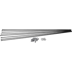 Dt Swiss Unisex - Pieaugušo HX 1501 spieķu komplekts, melns, 27.5
