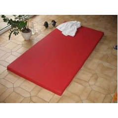 Pyra-Sport sporta paklājs - 100 cm x 200 cm x 5 cm ar mākslīgās ādas pārvalku