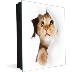 Concept Crystal Sienas atslēgu skapis ar dekoratīvo magnētisko tāfeli K02 Cat in Paper