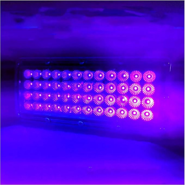 UV-Härtungslicht 500W 395nm 405nm 365nm Led UV-GEL-Härtungslampe Druckmaschine Glastinte Siebdruckversion UV-Härtungslampe mit sofortiger Aushärtung (Izmērs : 1 UK, Krāsa : 395nm)