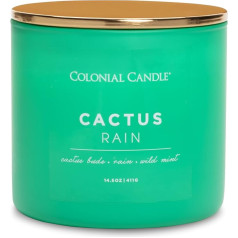 Colonial Candle Aromatizēta svece stiklā ar vāciņu | Cactus Rain | Ziedu aromāta svece | Svece ar 3 daktu | Sveces ilgs degšanas laiks līdz 60 stundām | Sveces zaļas (411 g)