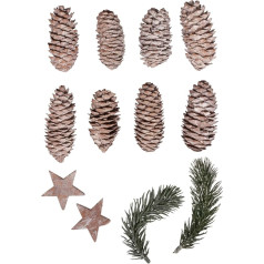 Rayher Deko Mix Weihnachten, Tannenzweige, Zapfen, Sterne, 12 Stück sortiert, 4 - 12 cm, 12 für winterliche Dekorationen, Weihnachtsschmuck, Adventskranz-Deko, 55963000