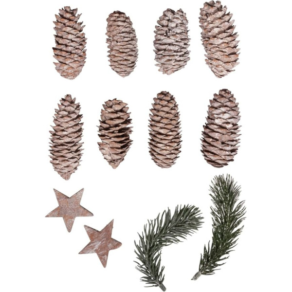 Rayher Deko Mix Weihnachten, Tannenzweige, Zapfen, Sterne, 12 Stück sortiert, 4 - 12 cm, 12 für winterliche Dekorationen, Weihnachtsschmuck, Adventskranz-Deko, 55963000