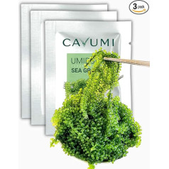 Cavumi Jūras vīnogas 3 x 25 g / Jūras vīnogas kā aļģu uzkodas / kaltētas jūras aļģes / Umibudo kā kraukšķīgi zaļie ikri