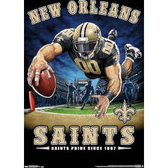 Настенный плакат Trends International NFL New Orleans Saints End Zone 17 - 14,75 x 22,5 дюйма премиум без рамки