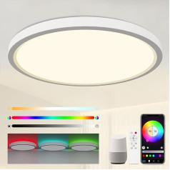 FANLG 24 W viedā LED griestu lampa, diametrs 30 cm, RGB LED griestu lampa, ar tālvadības pulti, RGB lampas krāsu maiņa, 3000-6000 K, apaļa griestu lampa, saderīga ar Alexa un Google for