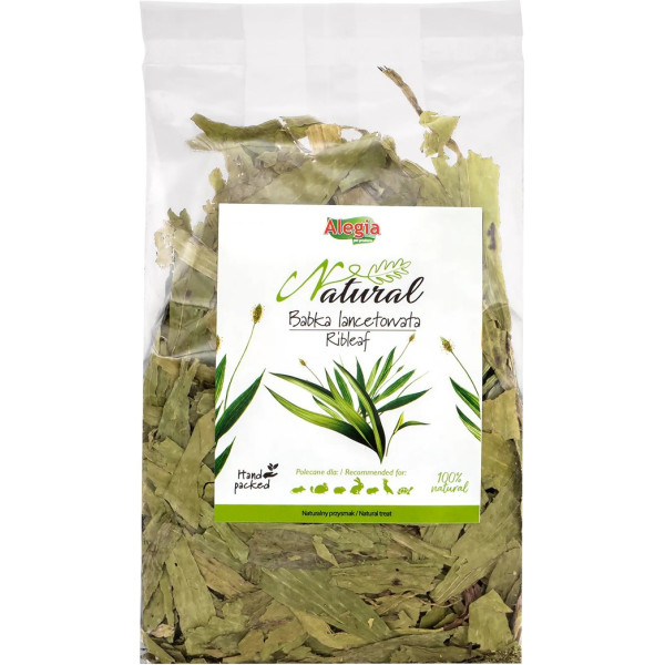 Alegia plantain 100g
