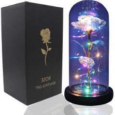 Timisea Luksusa Galaxy Rose ziedu dāvana stikla kupolā ar LED pasaku gaismām viņai, romantiskas dāvanas Bezgalība spīd Enchanted Rose Valentīna dienā Mātes diena Ziemassvētku dzimšanas diena Kāzas kāzas