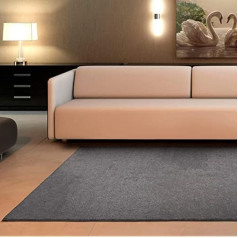 Universāls paklājs ar īsu kaudzi Velur Smooth 100% polipropilēna sudraba krāsā 160 x 230 cm