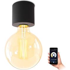 SSC-LUXon NAMBI Griestu gaisma ar viedo mājas WiFi E27 LED Vintage Globe Virsmas gaisma melna Saderīga ar Alexa, Siri un Google