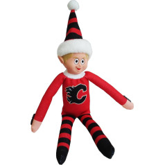 NHL komanda Eleven