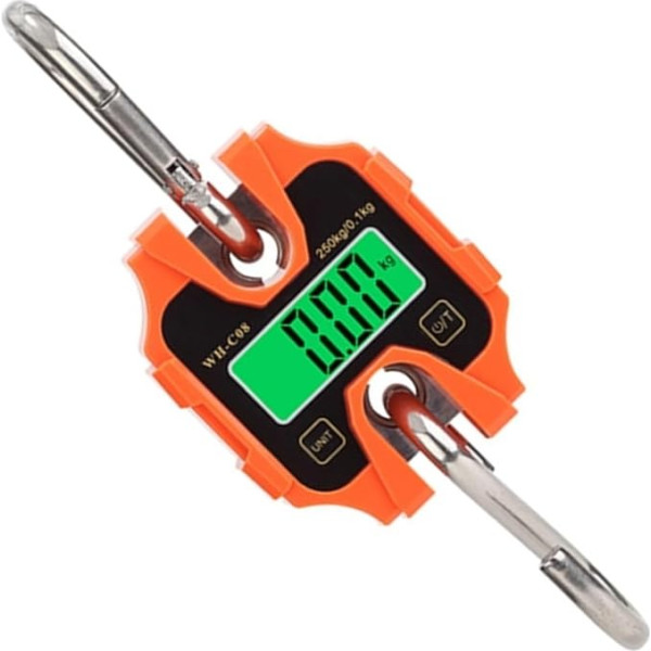 CIRONI 250 kg/0,1 kg 100 kg/0,05 kg Digitale Kranwaage, robuste elektronische Hakenwaage aus Edelstahl, elektronisches Gewicht mit hängender LCD-Schlaufe