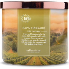 Colonial Candle Aromatizēta svece glāzē ar vāciņu | Napa Vineyard | Aromatizēta svece Fruity | Svece ar 3 daktīm | Sveces ilgs degšanas laiks (60 h) | Sveces zelta (411 g)