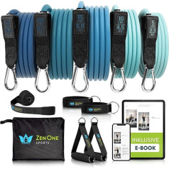 ZenOne Sports Resistance Fitness Bands - Robust Fitness Bands - 5 Resistance Bands - Home Workout Expander Set - Sports Elastic Band