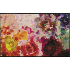 mazgāt+žāvēt Durvju paklājs Colour Blast 75 x 120 cm Mazgājams lietošanai iekštelpās un ārpus telpām
