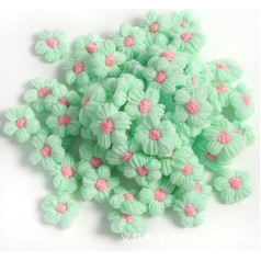 30 gabali tamborēšanas ziedu aplikācijas 3 cm ziedu plāksteri adītas aplikācijas šūšanai DIY šūšanas aplikācijas rotājumi ar maziem ziediem kāzu priekšmeti Apģērbu plāksteru rotājumi