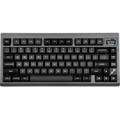 EPOMAKER TH80 PRO V2 mehāniskā tastatūra ar RGB ekrānu.Gasket spēļu tastatūra Bluetooth/2.4GHz/USB-C ar VIA programmēšanu, uz dienvidiem vērsta LED, Mac/Win (melna, Wisteria Linear Switch)