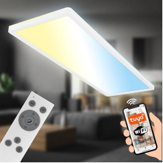 BRILONER - LED griestu gaisma Dzīvoklis Smart Home, App Voice Control, Dimmable, CCT, LED lampa, LED griestu gaisma, dzīvojamās istabas lampa, LED panelis, virtuves lampa, guļamistabas lampa, 58 x 20 x 3 cm, balts