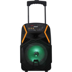 Skaļrunis aps22 bluetooth karaoke audio sistēma