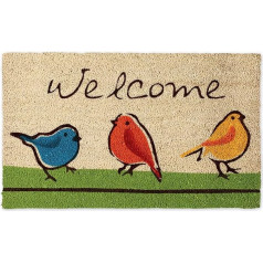 DII iekštelpu/āra dabīgo kokvilnas šķiedru gumijas paklājs, viegli tīrāms, aizmugurējais ieejas durvju paklājs terasei, ārdurvīm, ārdurvīm jebkuram laikam, 18 x 30 - putniem