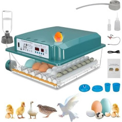 Pilnībā automātisks inkubators 24-36 olām ar inkubatora vistu olu inkubatoru Olu rotācijas sistēma un automātiska mitrināšanas sistēma, ar integrētu mitruma indikatoru.