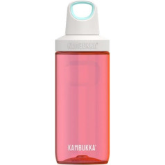 reno ūdens pudele 500 ml - zemeņu ledus