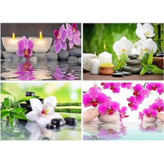 5D Diamond Glezniecība Pack of 4 50 x 40 cm Diamond Glezniecība Orhidejas Diamond Glezniecība Pictures Pieaugušo orhidejas Violeta bilde Orhideju audekls Orhideju Phalaenopsis Diamond Glezniecība Ziedi White Orchid