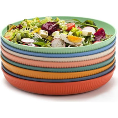 8 gab. plastmasas pusdienu šķīvju komplekts, 9 collu nesalaužams krāsains pusdienu atkārtoti lietojams viegls piknika šķīvis, drošs mikroviļņu krāsnī, ideāli piemērots kempingam, piknikam, RV, ballītēm, BBQ