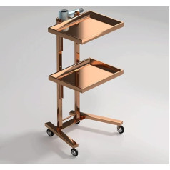 Frizieru ratiņi Frizētavas ratiņi Frizētavas ratiņi Paplāte zelta alumīnija darba ratiņi ar piederumiem Fēnu statīvs Tetovēšanas ratiņi Salonu veikali ar metāla gredzenu Roll konteineru Regulējams augstums Skaistumkopšana