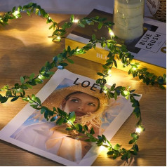 Ariceleo 5 m mākslīgā virtene USB pasaku gaismas, 2 iepakojumi, 50 LED vīnogulāju pasaku gaismas ar tālvadības pulti, taimeri un 10 režīmiem, vara stieple, silti balta, ideāli piemērotas Ziemassvētku, kāzu un svinību rotājumiem