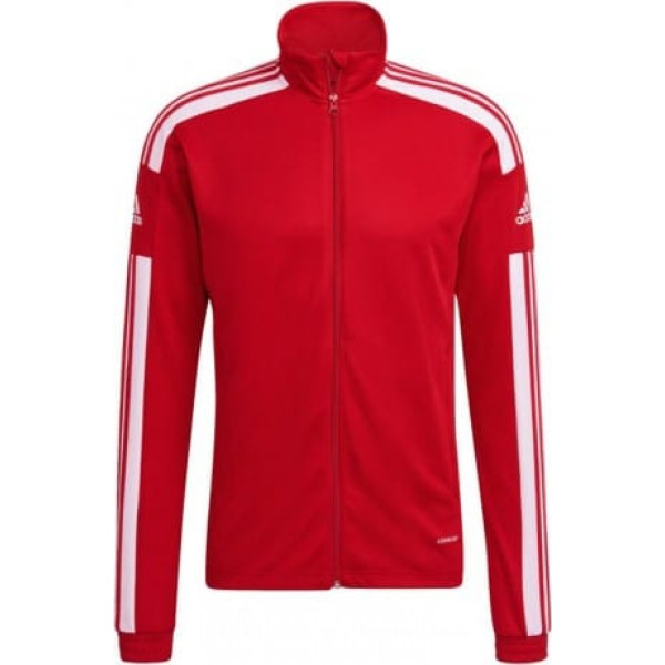 Džemperis adidas Squadra 21 Training M GP6464 / L