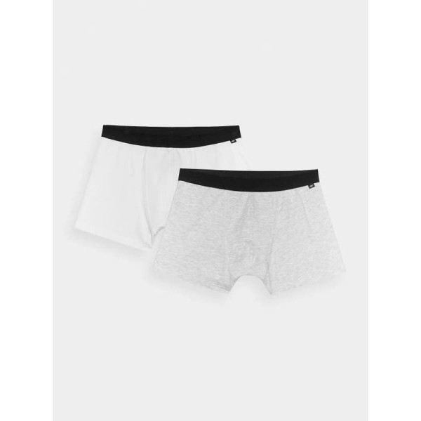 Vīriešu bokseru apakšbikses (2 gab.) 4F 4FWMM00UBXSM059-90S / XXL