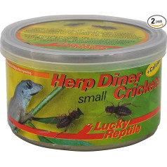 Herp Diner Sīkie kriketi, 35 g, apmēram 120 sīki, termiski apstrādāti, ar barbekjū garšu