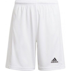 Adidas Squadra 21 Short Youth Jr GN5765 / 176cm