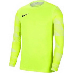 Vārtsargu krekls Nike Dry Park IV JSY LS GK JR CJ6072-702 / S